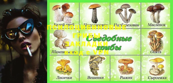 a pvp Абдулино