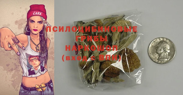 ECSTASY Абинск