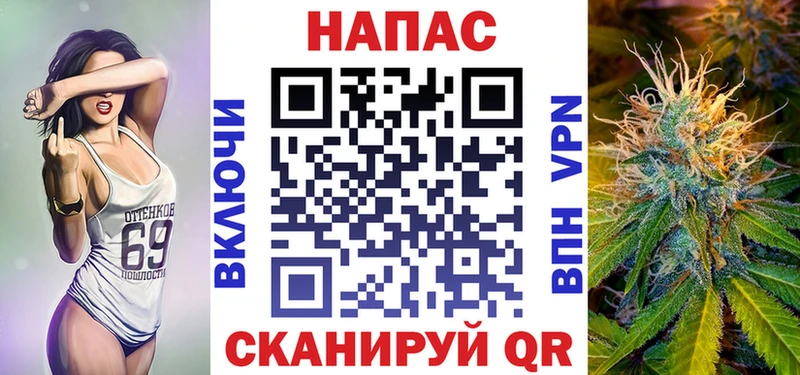 где найти наркотики  Вытегра  Марихуана сатива 